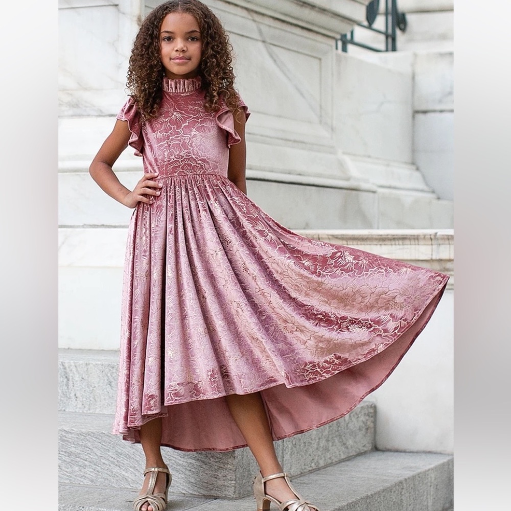 NWT Joyfolie Hallie dress in mauve